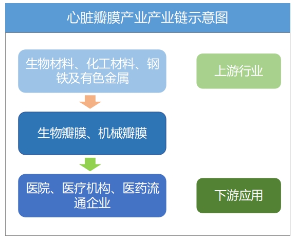 全球及中國心臟瓣膜行業研究報告