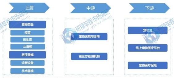 寵物醫院行業產業鏈