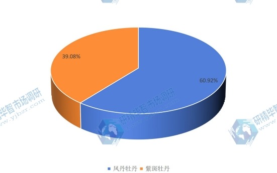 中國2016年不同種類油用牡丹產量市場份額 中國2016年不同種類油用牡丹產量市場份額