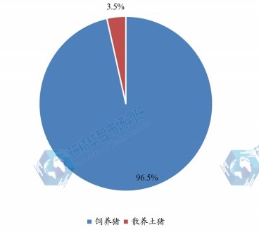 國內飼養豬和散養土豬消費量占比（2023年）