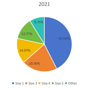 2021年按類型劃分的全球足球生產市場份額(%) 2021年按類型劃分的全球足球生產市場份額(%)